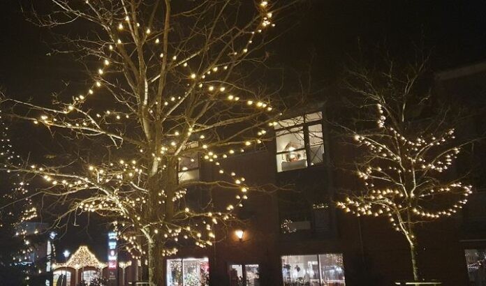 julelys